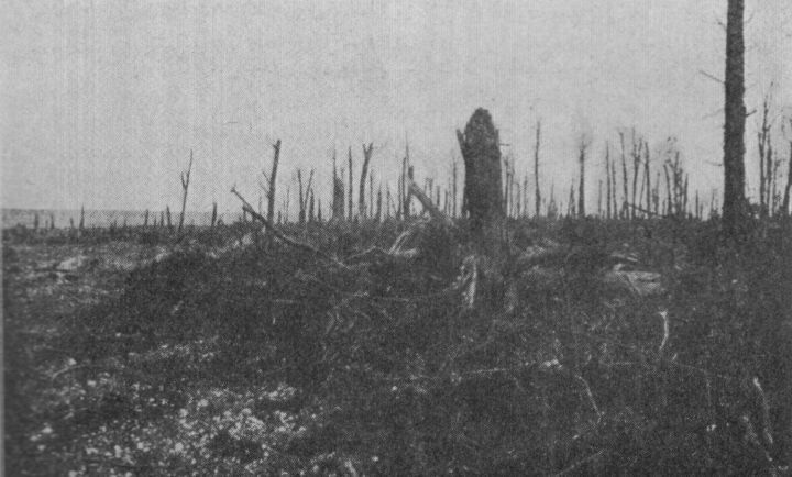 Le Bois Sénécat en 1918